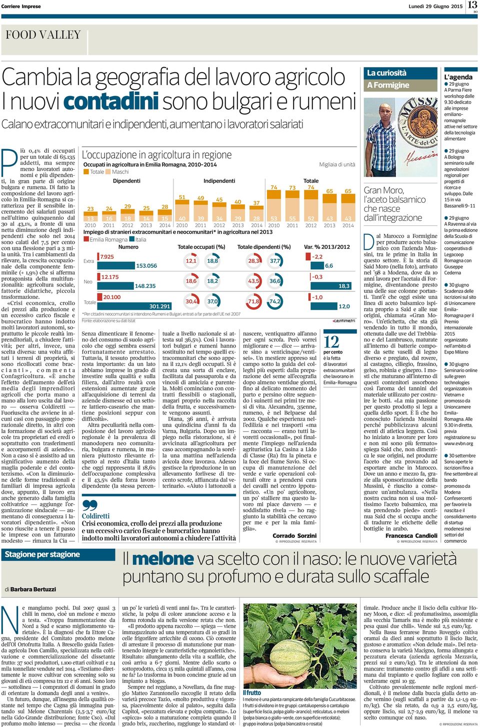 Di fatto la composizione del lavoro agricolo in Emilia-Romagna si caratterizza per il sensibile incremento dei salariati passati nell ultimo quinquennio dal 30 al 43,1%, a fronte di una netta