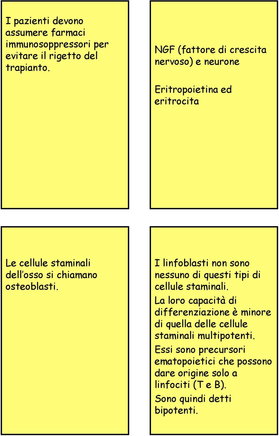 I linfoblasti non sono nessuno di questi tipi di cellule staminali.