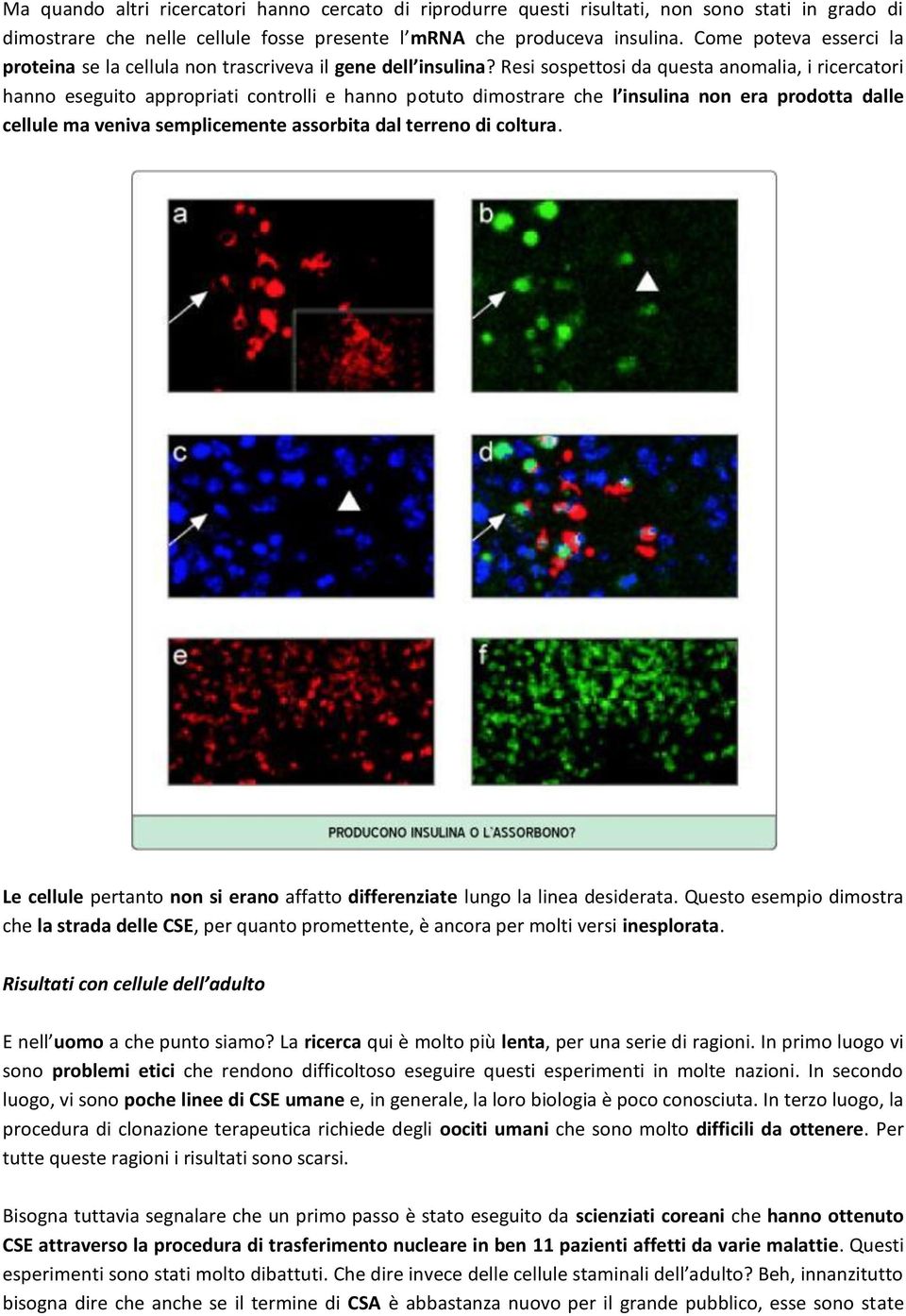 Resi sospettosi da questa anomalia, i ricercatori hanno eseguito appropriati controlli e hanno potuto dimostrare che l insulina non era prodotta dalle cellule ma veniva semplicemente assorbita dal