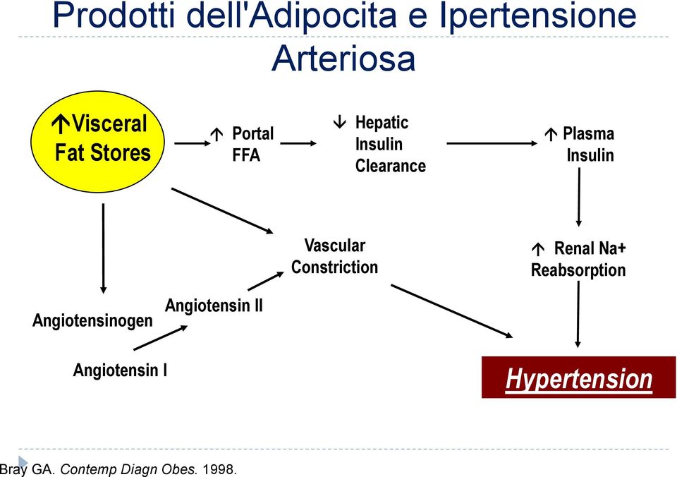 Vascular Constriction Renal Na+ Reabsorption Angiotensinogen