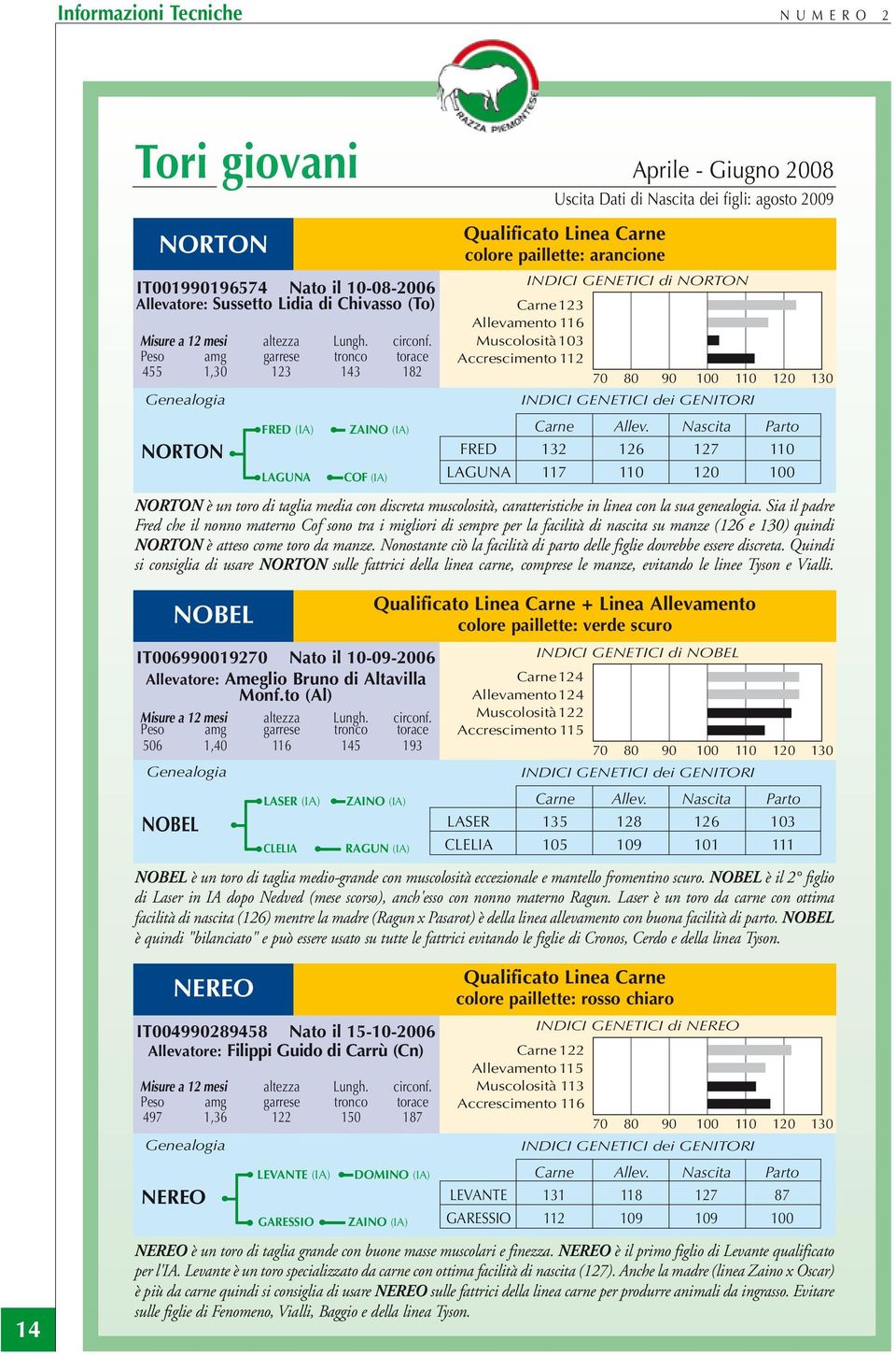 Peso amg garrese tronco torace 455 1,30 123 143 182 Genealogia NORTON FRED (IA) LAGUNA ZAINO (IA) COF (IA) Qualificato Linea Carne colore paillette: arancione Carne 123 Allevamento 116 Muscolosità