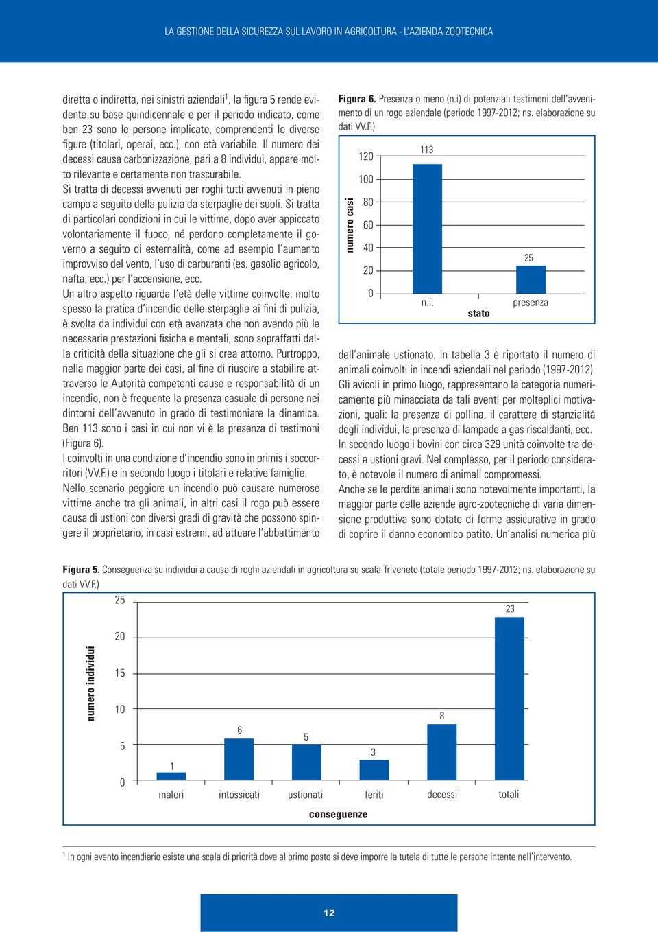 Il numero dei decessi causa carbonizzazione, pari a 8 individui, appare molto rilevante e certamente non trascurabile.