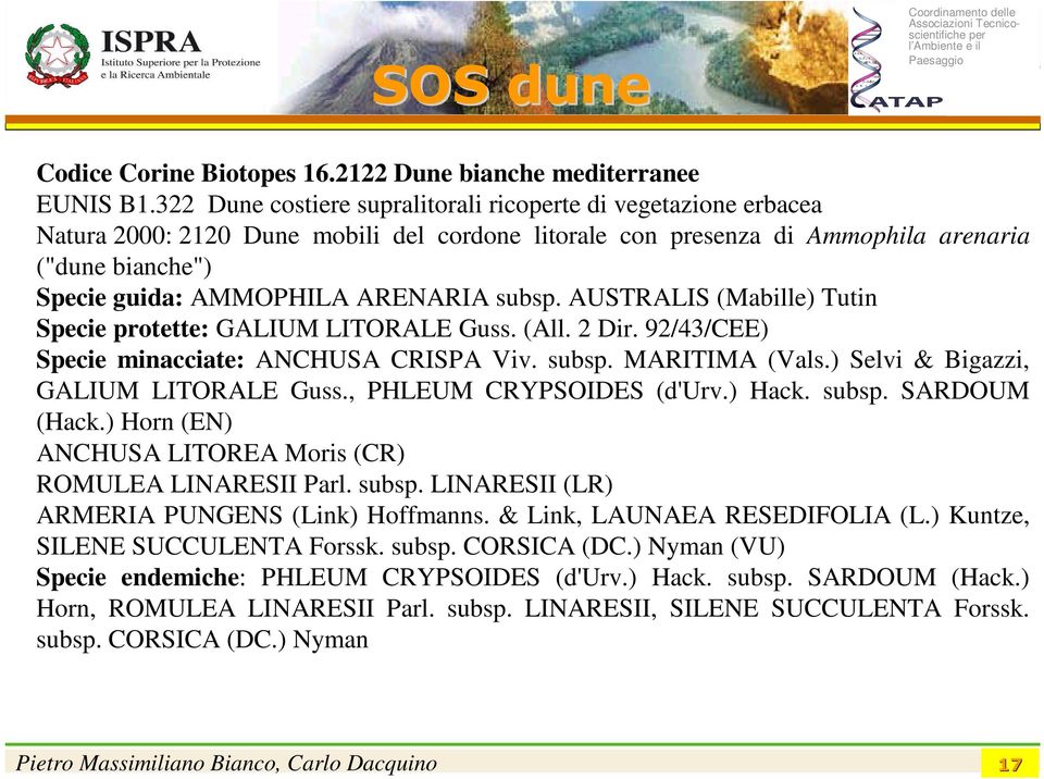 subsp. AUSTRALIS (Mabille) Tutin Specie protette: GALIUM LITORALE Guss. (All. 2 Dir. 92/43/CEE) Specie minacciate: ANCHUSA CRISPA Viv. subsp. MARITIMA (Vals.) Selvi & Bigazzi, GALIUM LITORALE Guss.