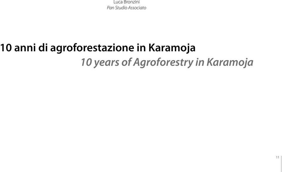 agroforestazione in Karamoja