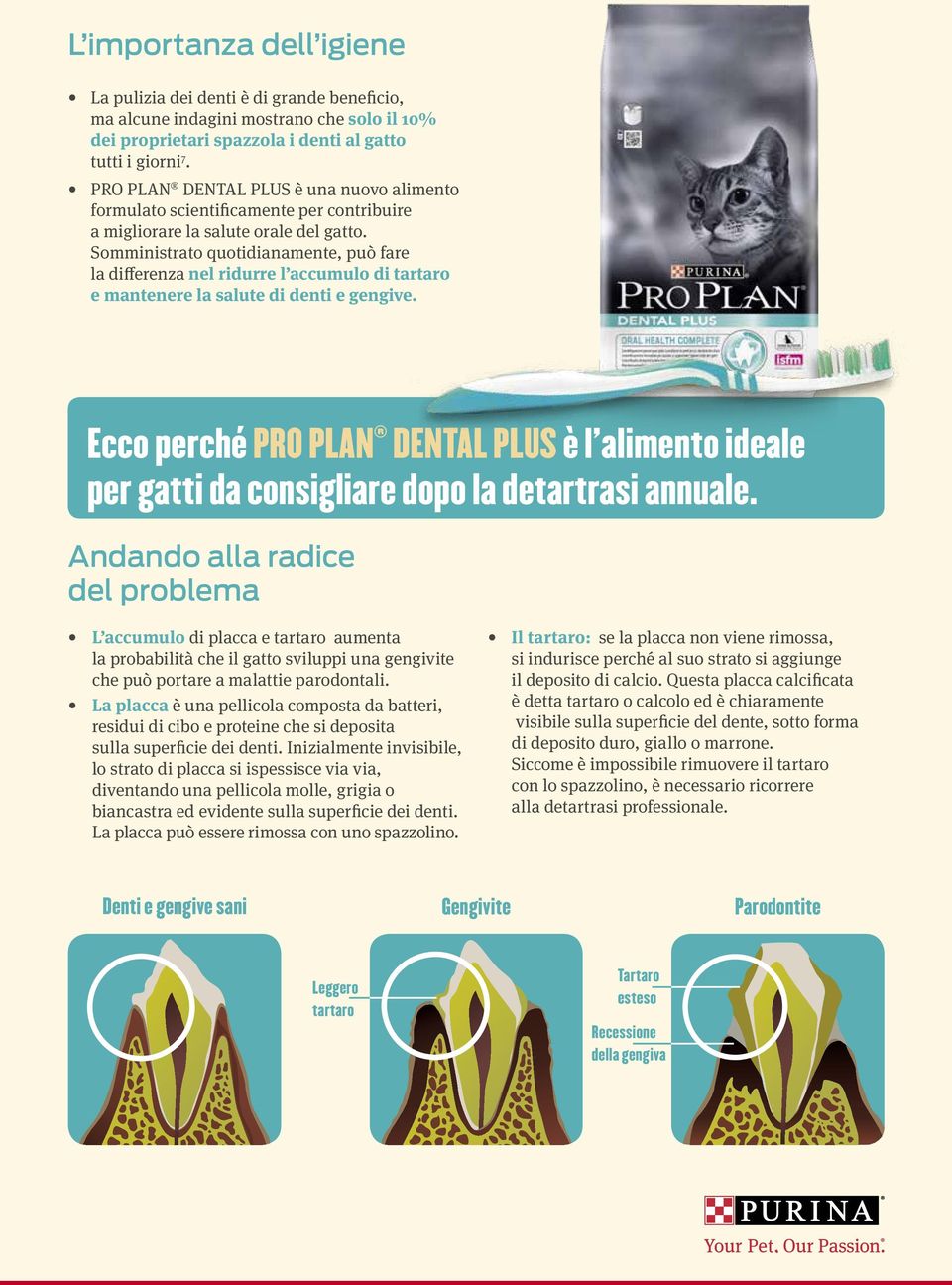 Somministrato quotidianamente, può fare la differenza nel ridurre l accumulo di tartaro e mantenere la salute di denti e gengive.