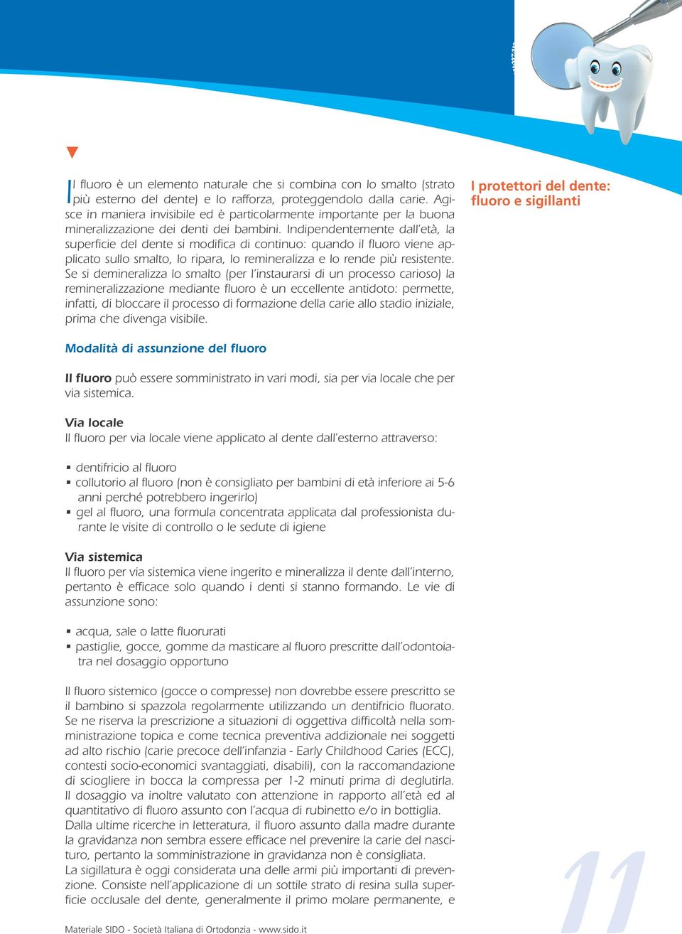 Indipndntmnt dall tà, la suprfici dl dnt si mdifica di cntinu: quand il flur vin applicat sull smalt, l ripara, l rminralia l rnd più rsistnt.