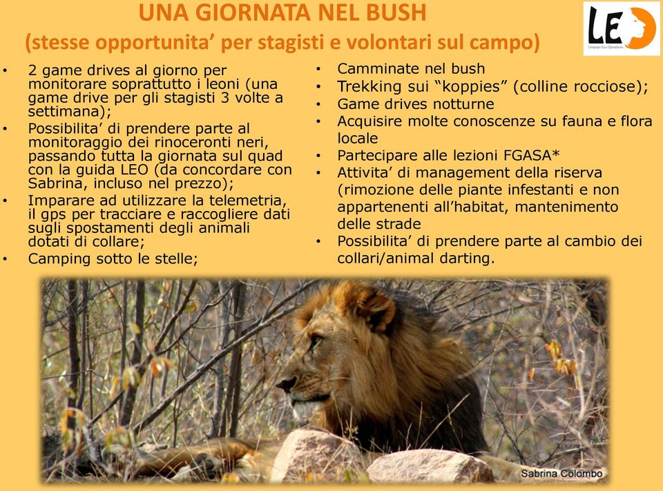 telemetria, il gps per tracciare e raccogliere dati sugli spostamenti degli animali dotati di collare; Camping sotto le stelle; Camminate nel bush Trekking sui koppies (colline rocciose); Game drives