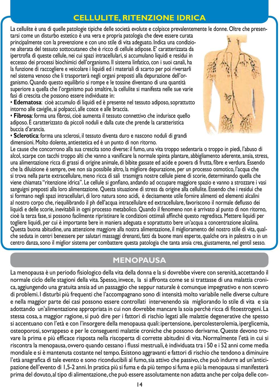 Indica una condizione alterata del tessuto sottocutaneo che è ricco di cellule adipose.