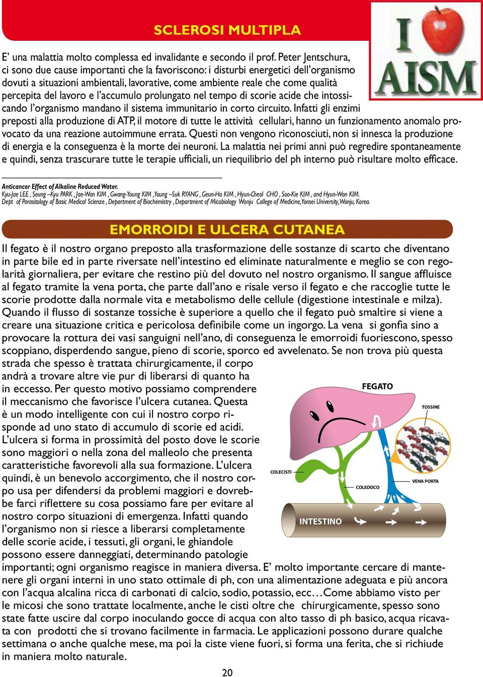 lavoro e l accumulo prolungato nel tempo di scorie acide che intossicando l organismo mandano il sistema immunitario in corto circuito.