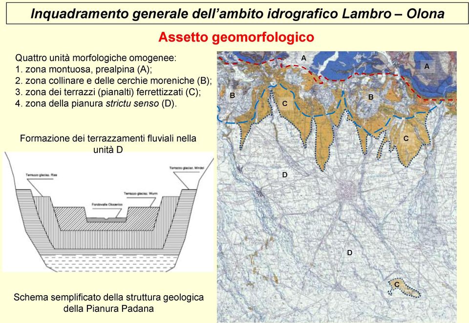 zona dei terrazzi (pianalti) ferrettizzati (C); 4. zona della pianura strictu senso (D).