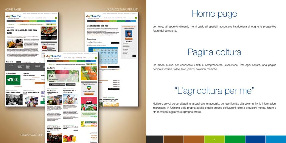 Per ogni coltura, una pagina dedicata: notizie, video, foto, prezzi, soluzioni tecniche.