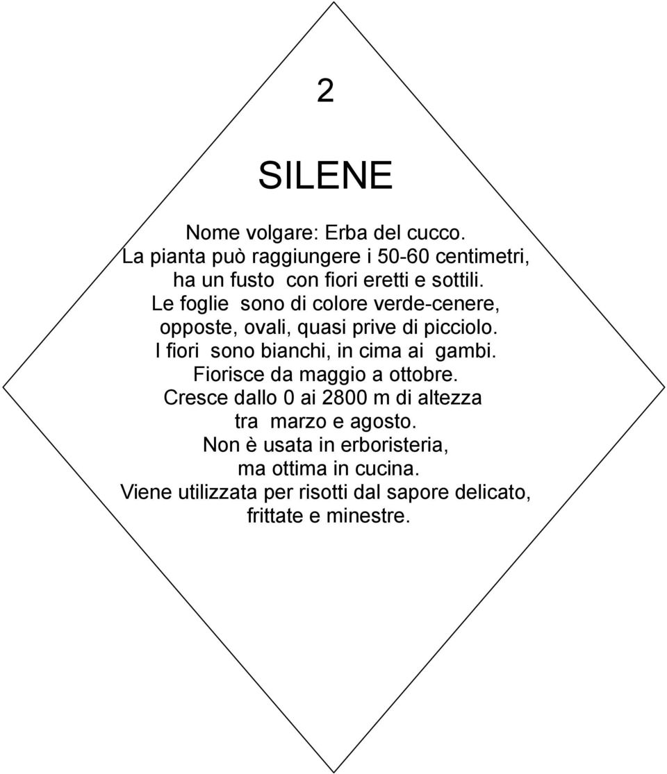 Le foglie sono di colore verde-cenere, opposte, ovali, quasi prive di picciolo.