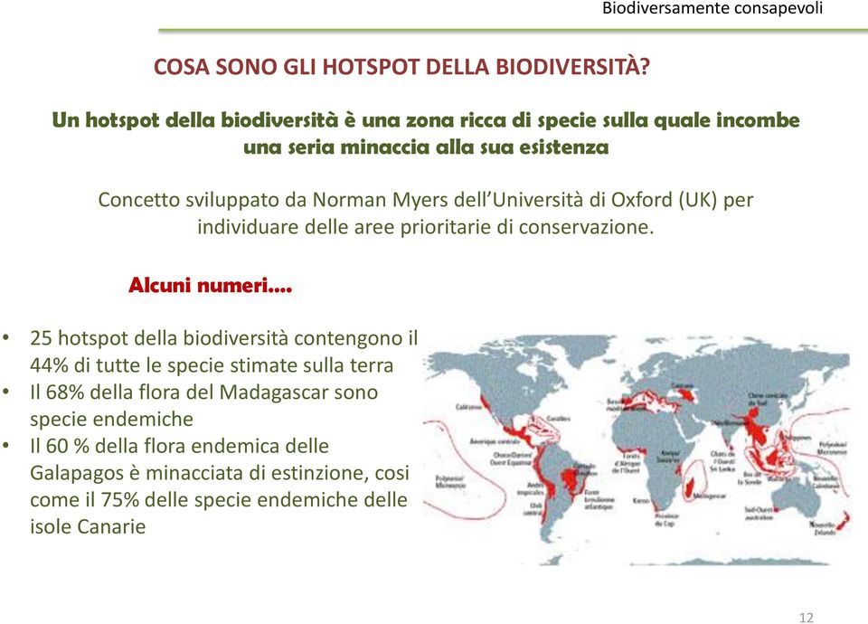 Norman Myers dell Università di Oxford (UK) per individuare delle aree prioritarie di conservazione. Alcuni numeri.