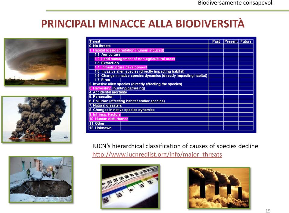 causes of species decline http://www.