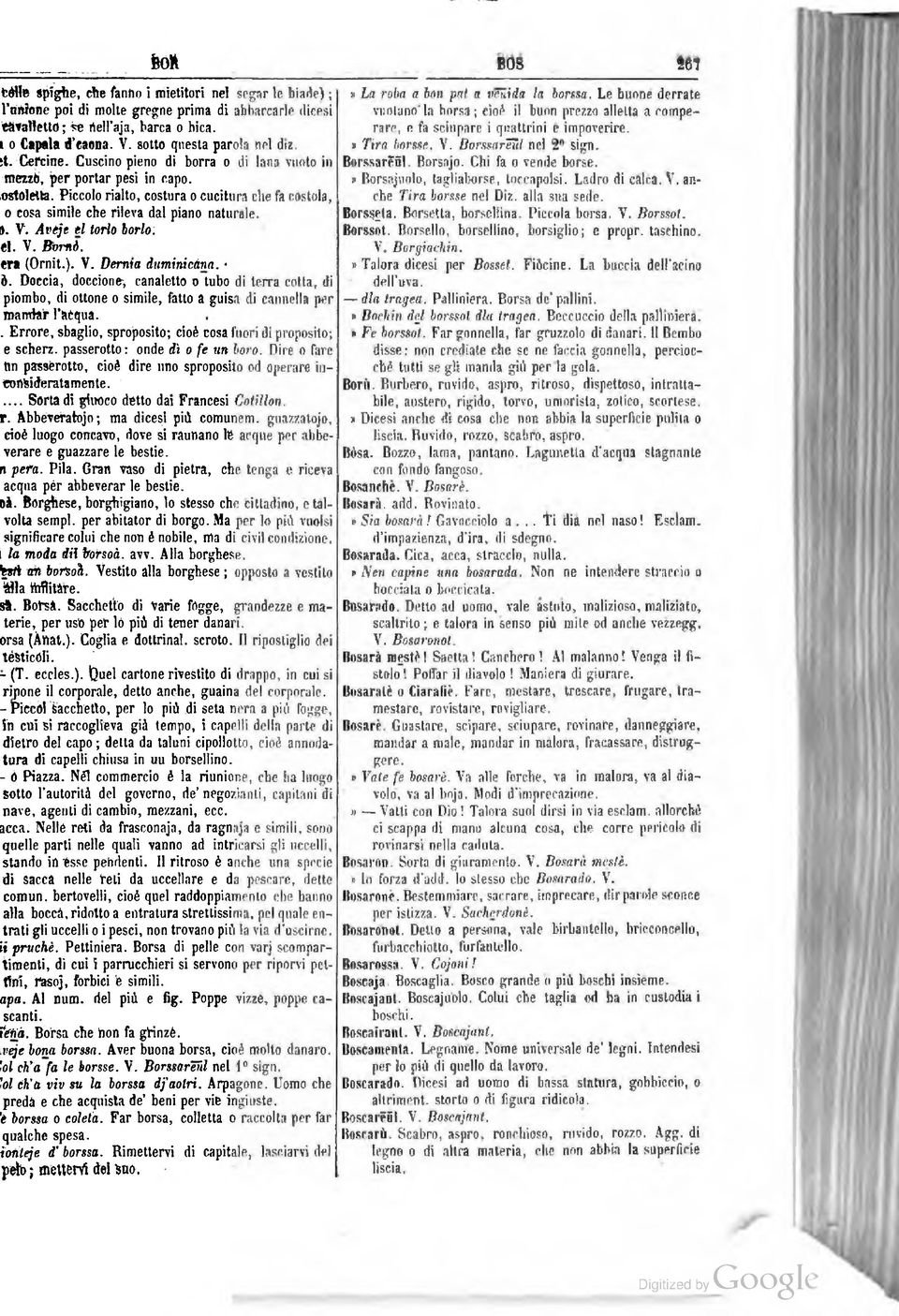 Piccolo rialto, costura o cucitura che fa costola, 0 cosa simile che rileva dal piano naturale.». V. Avtje tl torio borio: il. V. Borni. era (Ornit.). V. Demta duminicàna. è.