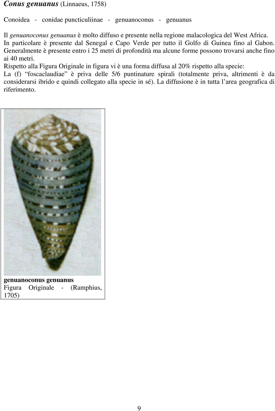 Generalmente è presente entro i 25 metri di profondità ma alcune forme possono trovarsi anche fino ai 40 metri.