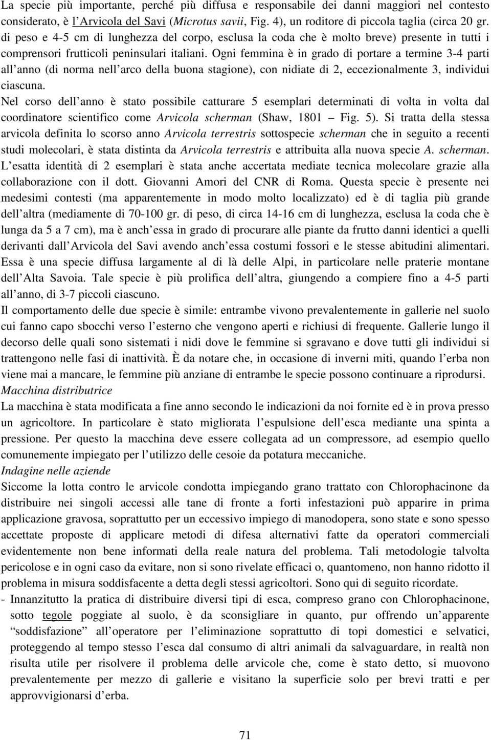 Ogni femmina è in grado di portare a termine 3-4 parti all anno (di norma nell arco della buona stagione), con nidiate di 2, eccezionalmente 3, individui ciascuna.