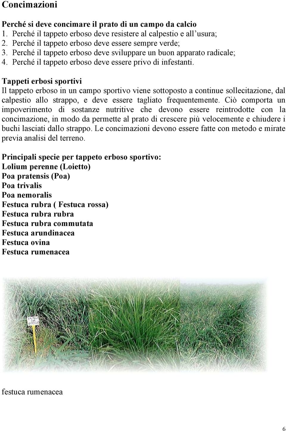 Tappeti erbosi sportivi Il tappeto erboso in un campo sportivo viene sottoposto a continue sollecitazione, dal calpestio allo strappo, e deve essere tagliato frequentemente.