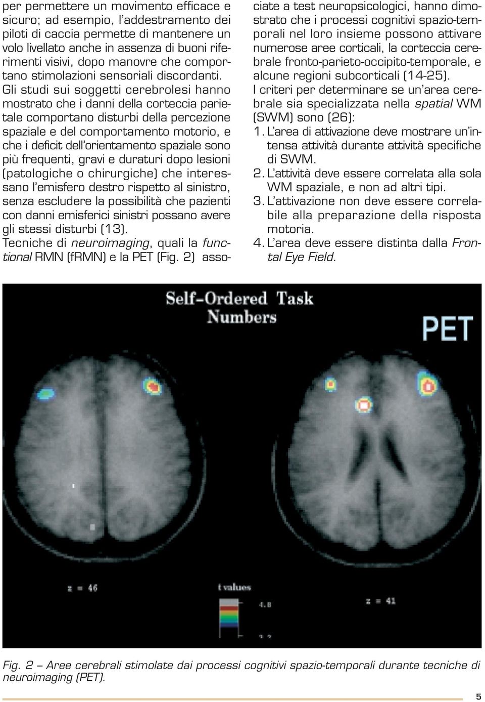 Gli studi sui soggetti cerebrolesi hanno mostrato che i danni della corteccia parietale comportano disturbi della percezione spaziale e del comportamento motorio, e che i deficit dell orientamento