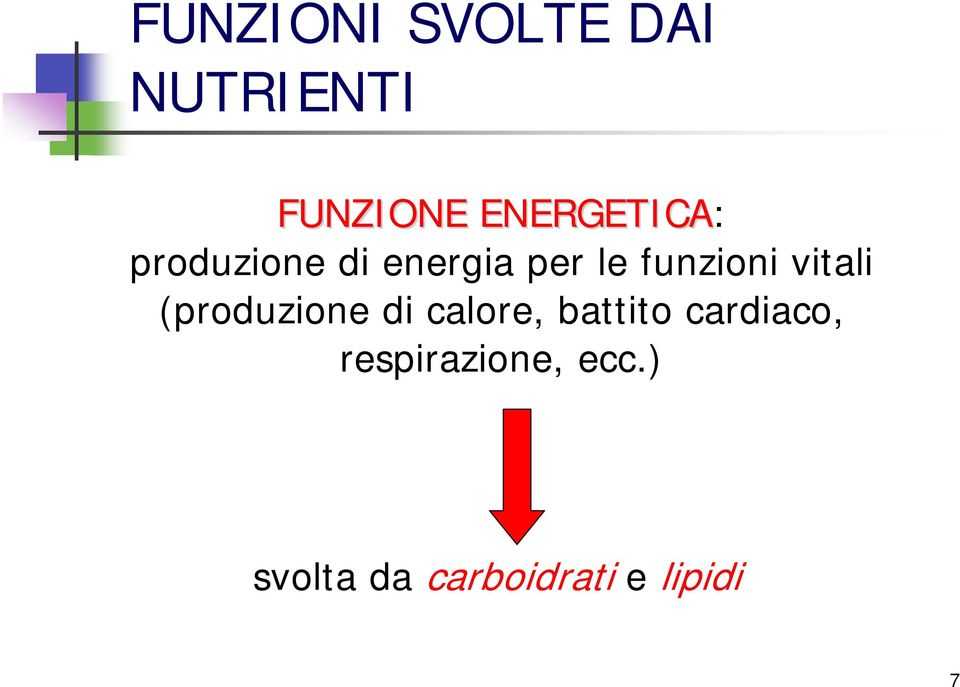 funzioni vitali (produzione di calore, battito