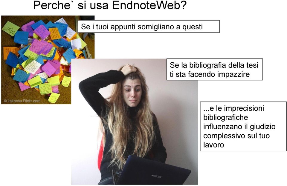 bibliografia della tesi ti sta facendo impazzire