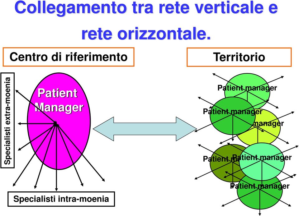 Patient Manager Patient manager Patient manager Case manager