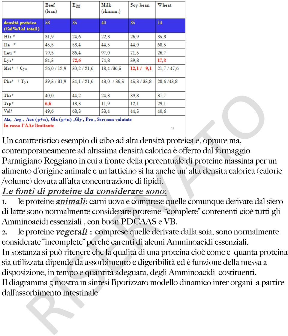Le fonti di proteine da considerare sono: 1.