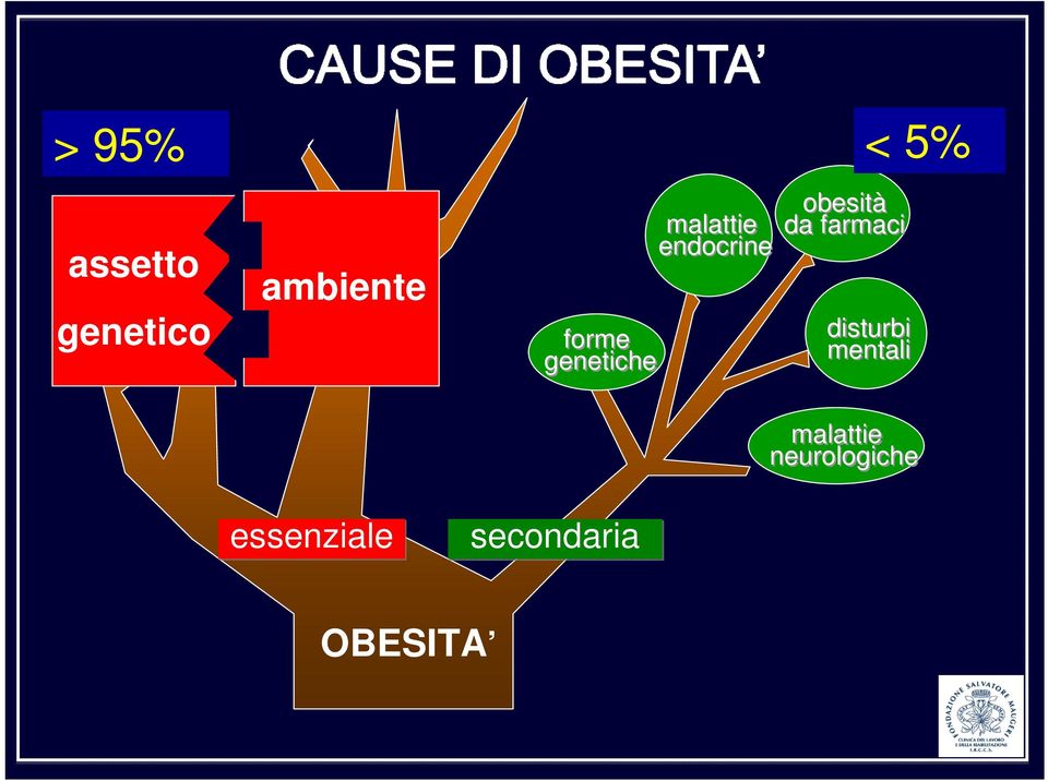 obesità da farmaci disturbi mentali