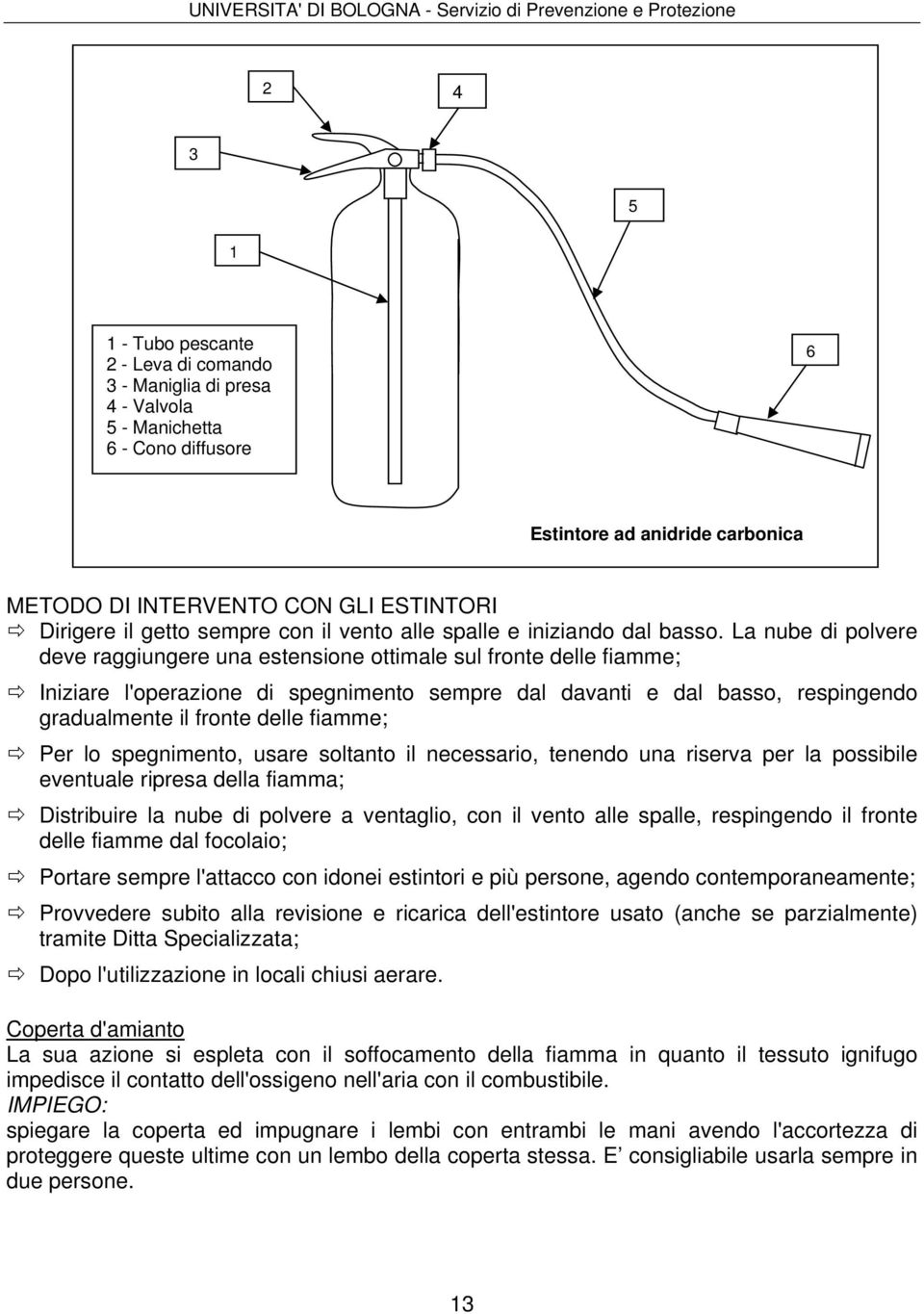 La nube di polvere deve raggiungere una estensione ottimale sul fronte delle fiamme; Iniziare l'operazione di spegnimento sempre dal davanti e dal basso, respingendo gradualmente il fronte delle