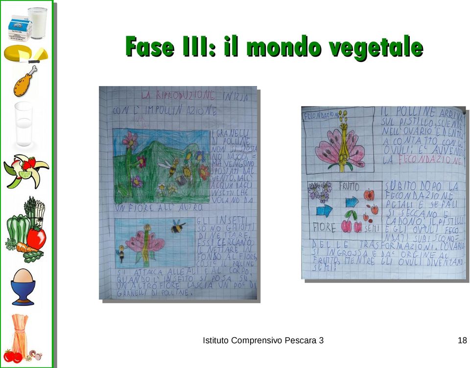 vegetale