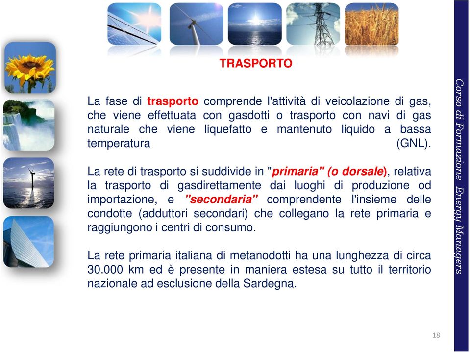 La rete di trasporto si suddivide in "primaria" (o dorsale), relativa la trasporto di gasdirettamente dai luoghi di produzione od importazione, e "secondaria"