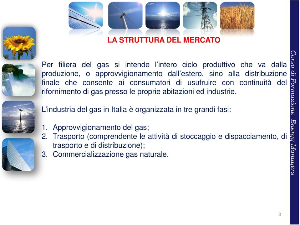 proprie abitazioni ed industrie. L industria del gas in Italia è organizzata in tre grandi fasi: 1. Approvvigionamento del gas; 2.