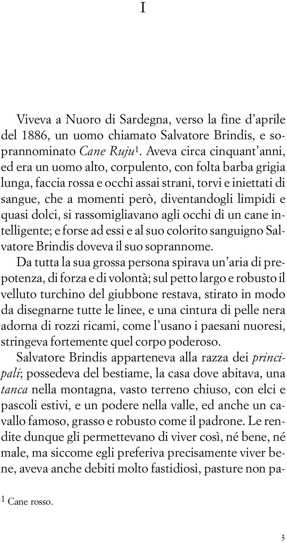 quasi dolci, si rassomigliavano agli occhi di un cane intelligente; e forse ad essi e al suo colorito sanguigno Salvatore Brindis doveva il suo soprannome.