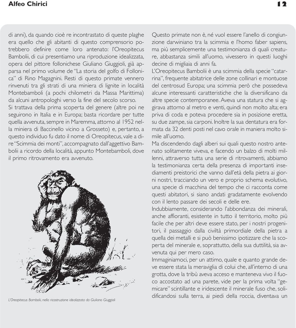 Resti di questo primate vennero rinvenuti tra gli strati di una miniera di lignite in località Montebamboli (a pochi chilometri da Massa Marittima) da alcuni antropologhi verso la fine del secolo