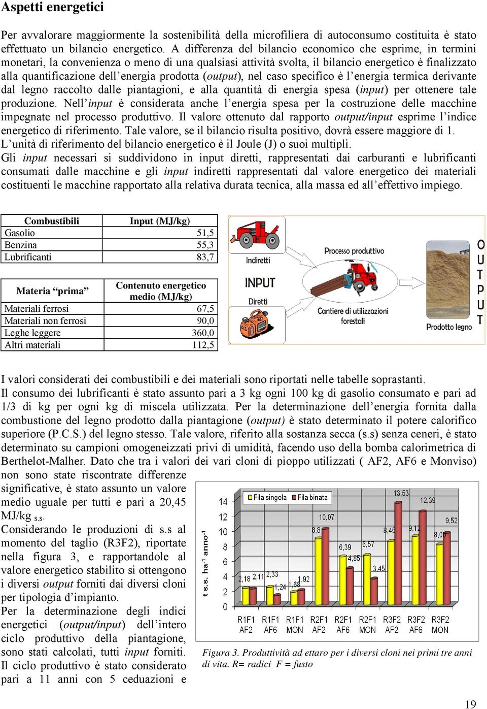 prodotta (output), nel caso specifico è l energia termica derivante dal legno raccolto dalle piantagioni, e alla quantità di energia spesa (input) per ottenere tale produzione.