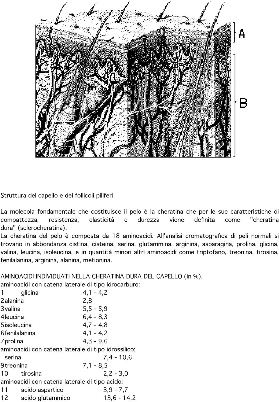 All'analisi cromatografica di peli normali si trovano in abbondanza cistina, cisteina, serina, glutammina, arginina, asparagina, prolina, glicina, valina, leucina, isoleucina, e in quantità minori