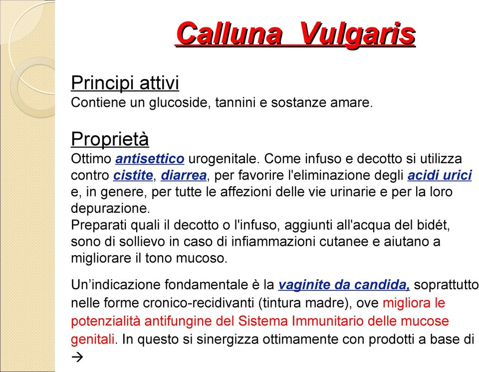 depurazione. Preparati quali il decotto o l'infuso, aggiunti all'acqua del bidét, sono di sollievo in caso di infiammazioni cutanee e aiutano a migliorare il tono mucoso.