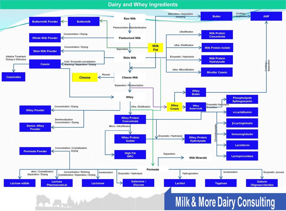 Isolate Alkaline Treatment Drying or Extrusion Casein Acid / Enzymatic precipitation Washing / Separation / Drying Skim Milk Enzymatic / Hydrolysis Milk Protein Hydrylysate Caseinates Cheese Rennet