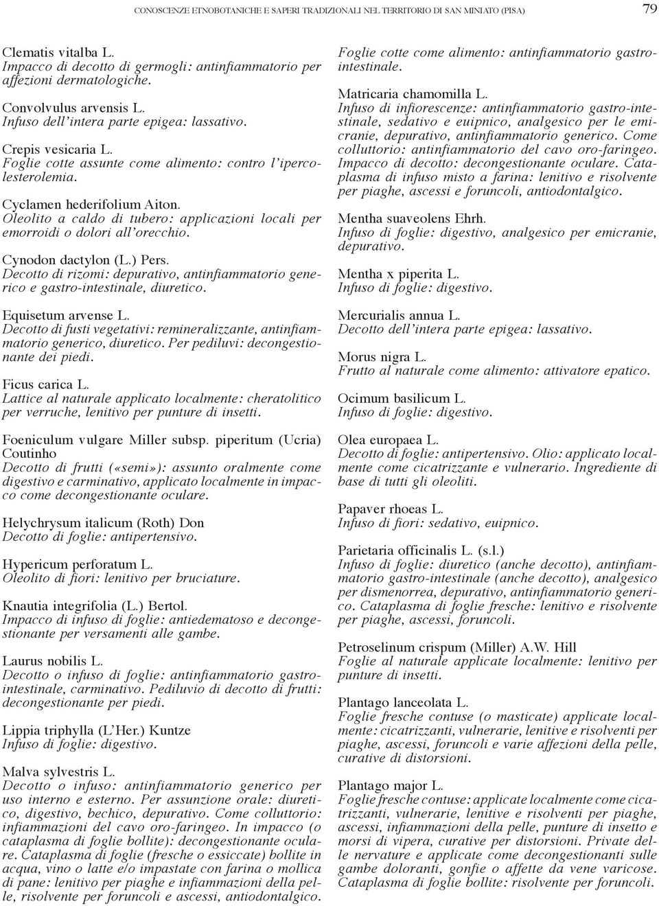 Oleolito a caldo di tubero: applicazioni locali per emorroidi o dolori all orecchio. Cynodon dactylon (L.) Pers.