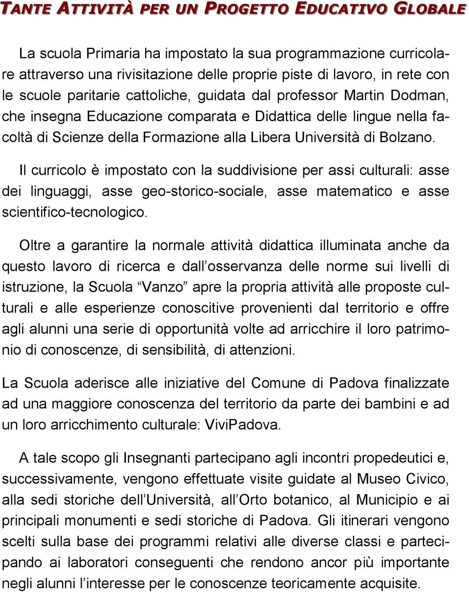 Il curricolo è impostato con la suddivisione per assi culturali: asse dei linguaggi, asse geo-storico-sociale, asse matematico e asse scientifico-tecnologico.