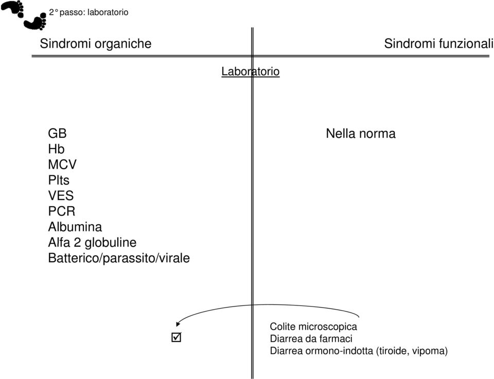 globuline Batterico/parassito/virale Nella norma Colite