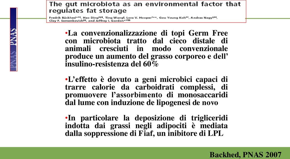 carboidrati complessi, di promuovere l assorbimento di monosaccaridi dal lume con induzione de lipogenesi de novo In particolare la