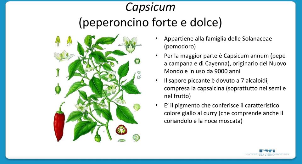 sapore piccante è dovuto a 7 alcaloidi, compresa la capsaicina (soprattutto nei semi e nel frutto) E il