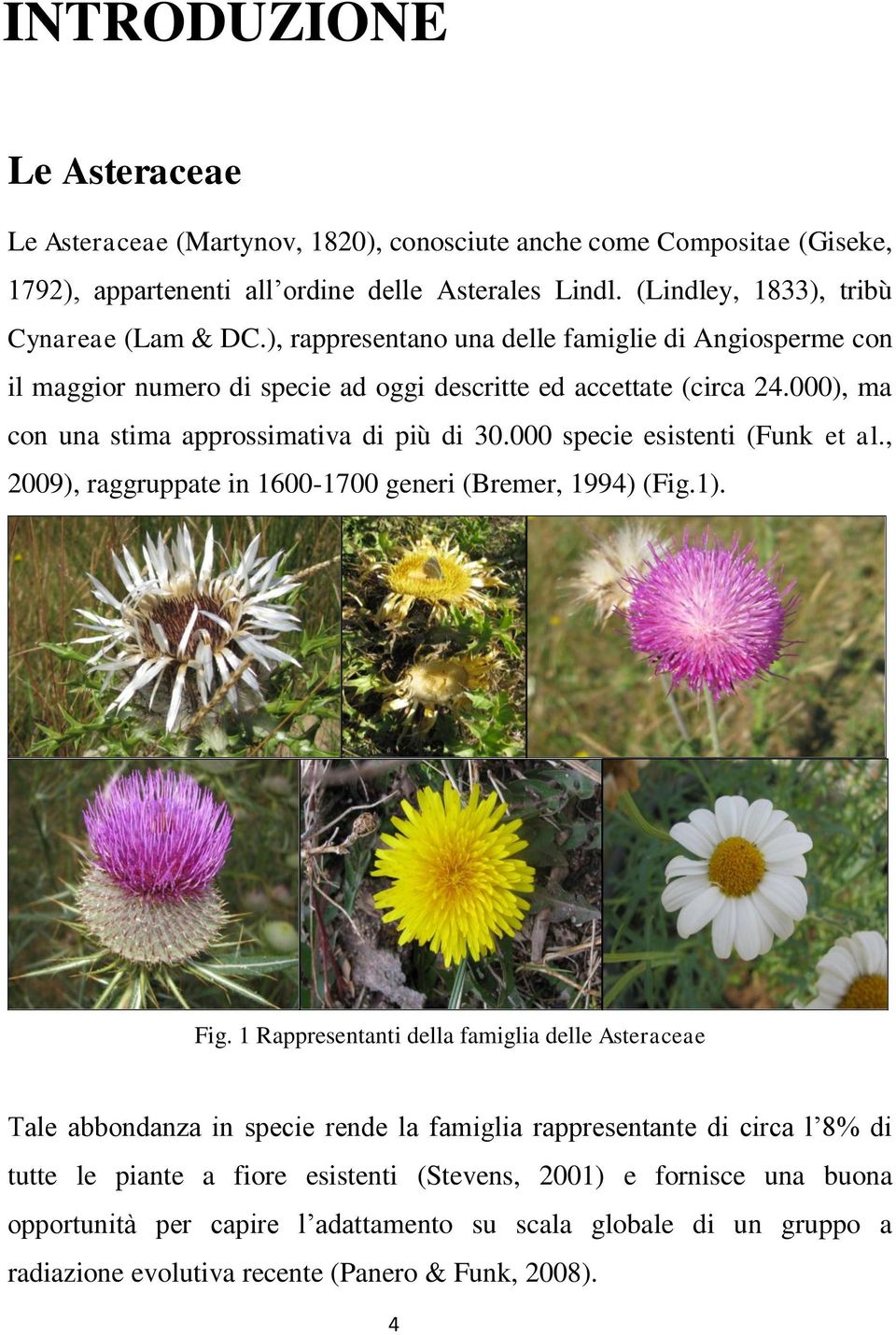 000 specie esistenti (Funk et al., 2009), raggruppate in 1600-1700 generi (Bremer, 1994) (Fig.1). Fig.