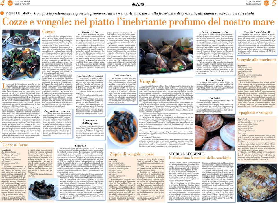 di prodotti ittici: i molluschi privi di conchiglia, come i calamari e le seppie, i molluschi con una conchiglia unica, come le chioccioline di mare e quelli con la conchiglia divisa in due valve,