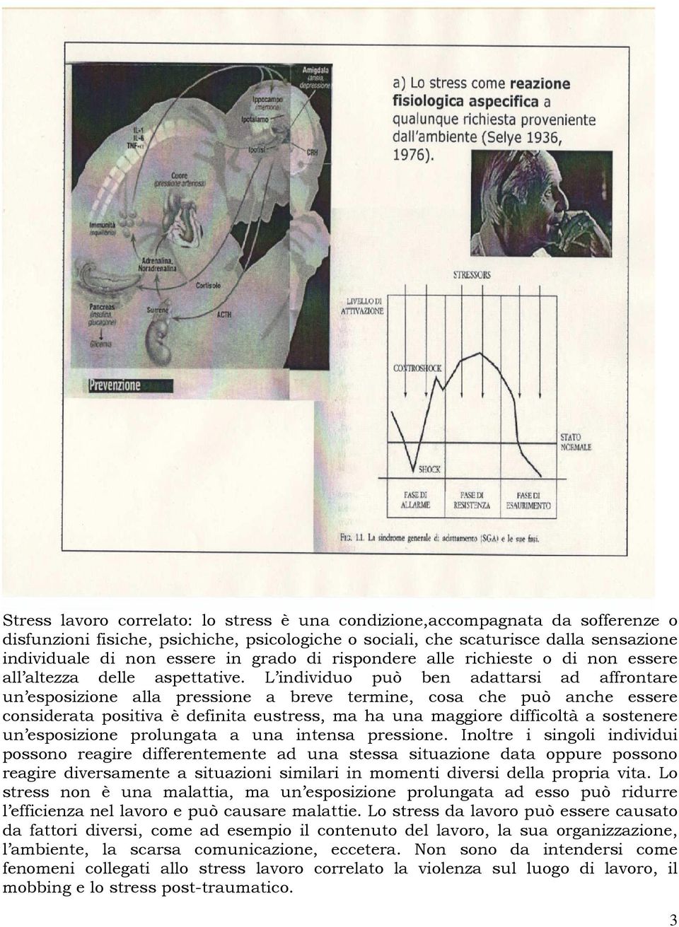 L individuo può ben adattarsi ad affrontare un esposizione alla pressione a breve termine, cosa che può anche essere considerata positiva è definita eustress, ma ha una maggiore difficoltà a