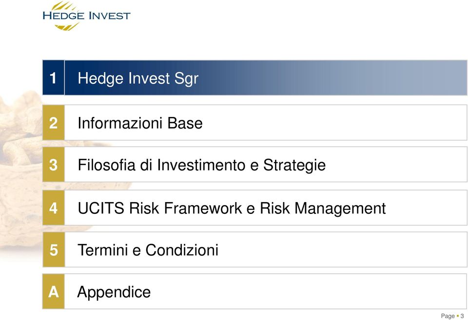 5 A UCITS Risk Framework e Risk