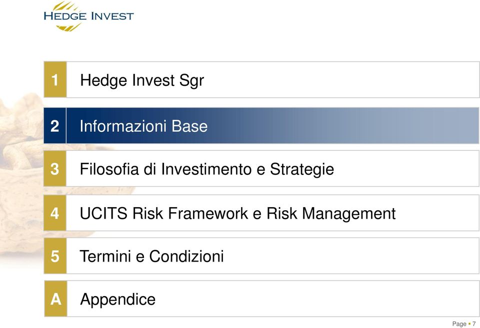 5 A UCITS Risk Framework e Risk