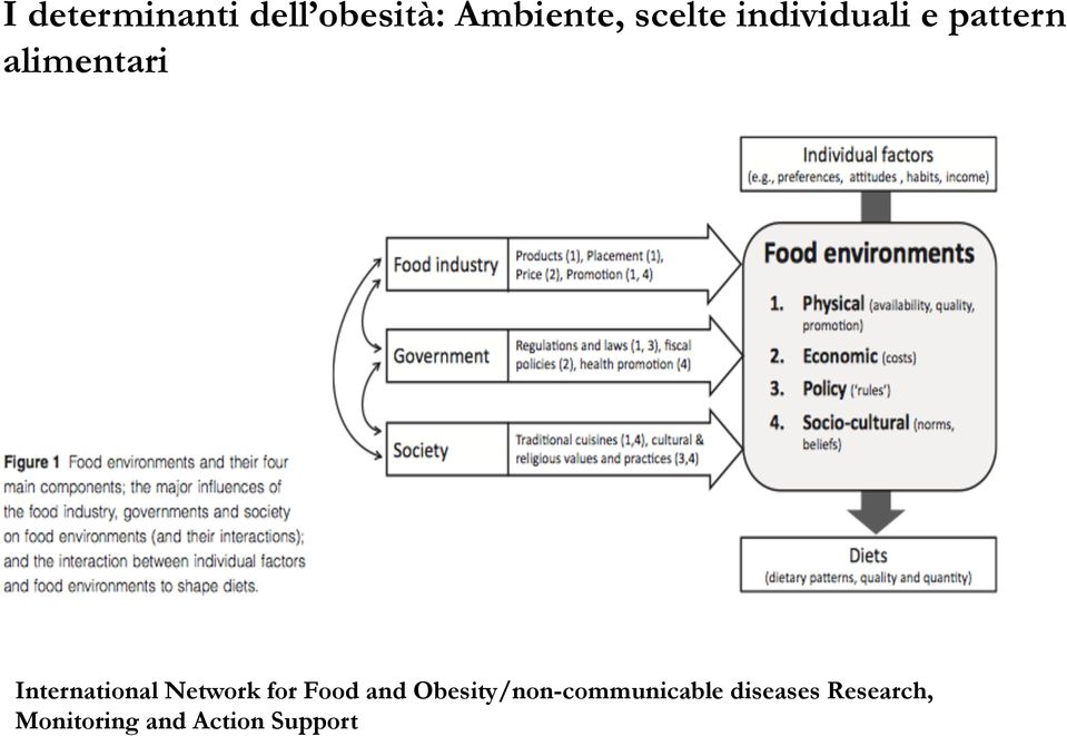 Network for Food and Obesity/non-communicable