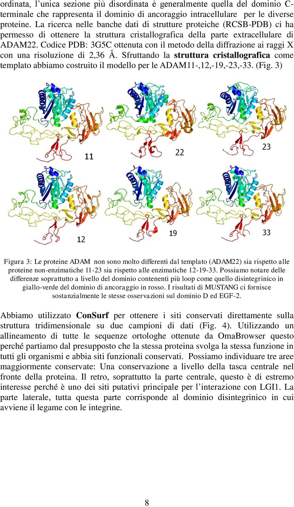 Codice PDB: 3G5C ottenuta con il metodo della diffrazione ai raggi X con una risoluzione di 2,36 Å.